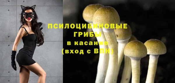 спиды Алексин