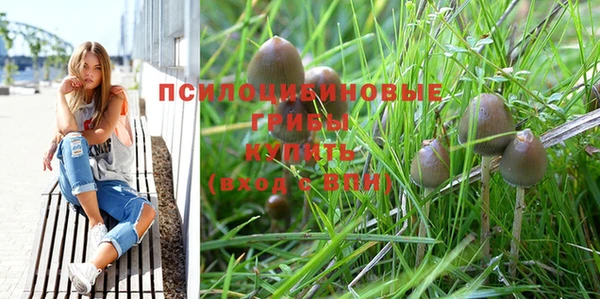 спиды Алексин