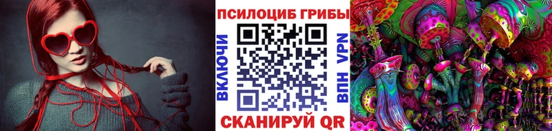 Псилоцибиновые грибы GOLDEN TEACHER  как найти   Лаишево 